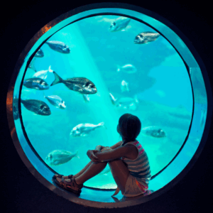 Ripley's Aquarium Family Outing! $200